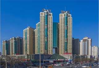 奉贤区土壤基因组DNA提取土壤DNA提取报价